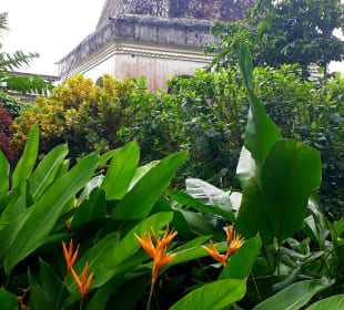 Stadtrundgang Bububu