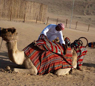 Корабли путсныи