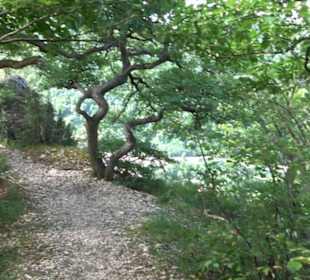 Tour entlang der Traifelbergfelsen