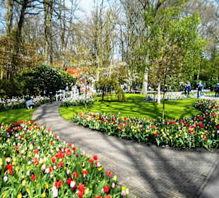 Blumenpracht im Keukenhof