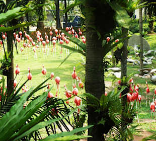 Nong Nooch Garden