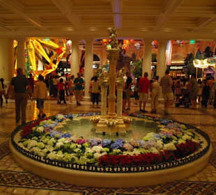 Botanical Garden im Bellagio