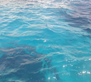 Aphrodite II - blue lagoon