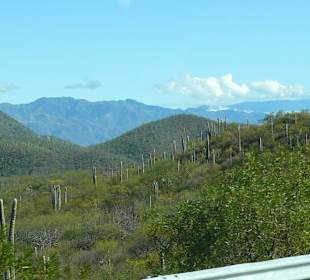 Rezerwat Biosfery Tehuacan