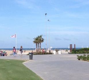 Einfach wunderschön!