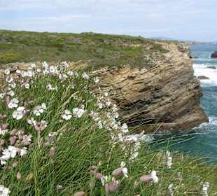 Las Catedrales Beach