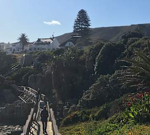 Wandern Hermanus