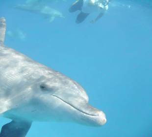 ...sehr neugierig...