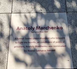 Russischer  Menschenrechtler