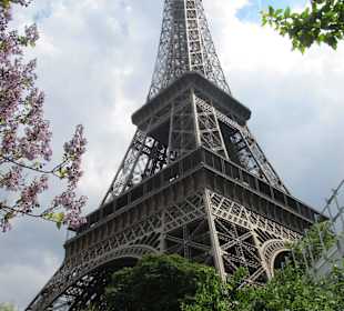  tour Eiffel