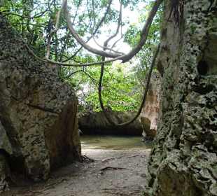 Im Naturschutzgebiet