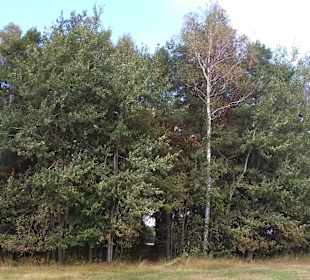 Kampinoski Park Narodowy