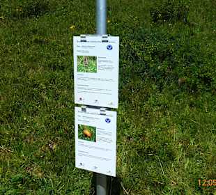 Blumen- Wander Lehrpfad Fontanella-Faschina