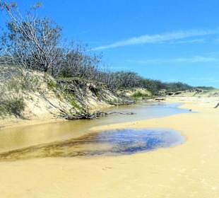 Fraser Island