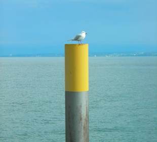 Blick auf den Bodensee
