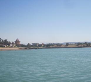 Поле для гольфа