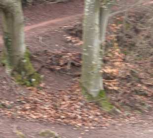 Unterjesinger Wengertwegle