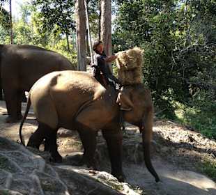 Das Futter wird transportiert