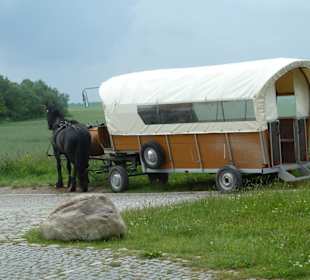 Kutschfahrt am Kap Arkona