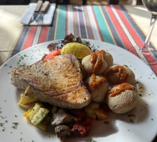 Gastro