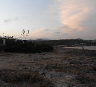 Sonnenuntergang Cala Nova beach