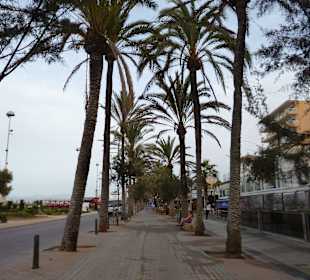 Promenadenweg am Morgen