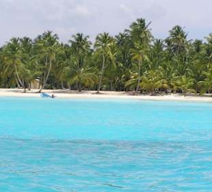 Insel Saona - ein echter Traum!