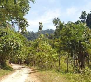 Ton Chong Fah Wasserfall