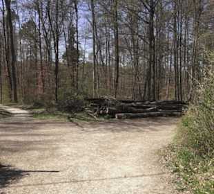 Sport- und Freizeitpark Markwasen
