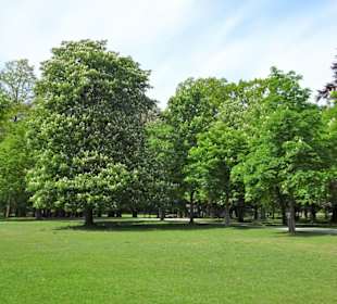 Eindrücke aus dem Tiergarten Hannover