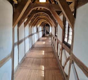 Wandern Friedrichroda