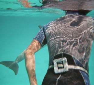 Schwimmen mit Delphinen!