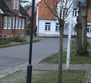 Arnis, grudzień 2008r