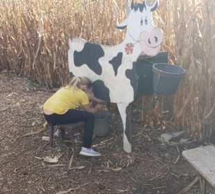 Maislabyrinth Südlohn