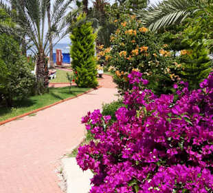 Im Garten vom Venessa 