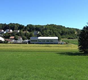 Waldameisen-LehrPfad