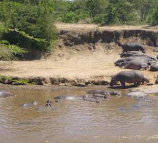 Zu den Hippos am anderen Ufer
