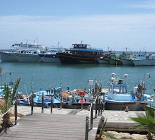 Hafen von Agia Napa
