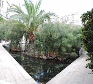 Fonte Arethusa