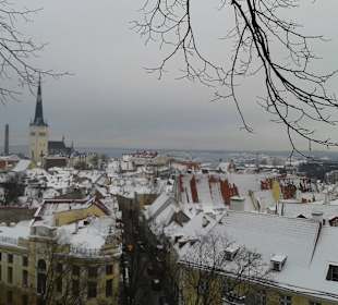 Stare Miasto Tallinn