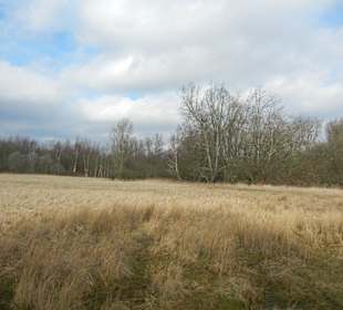 Naturschutzgebiet Boberger Niederung