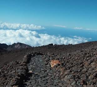 Teide - das Dach Teneriffas