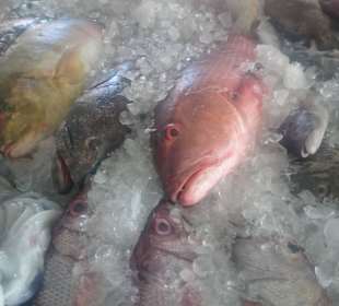 Alter Fischmarkt in Hurghada