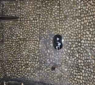 Bad-Dusche