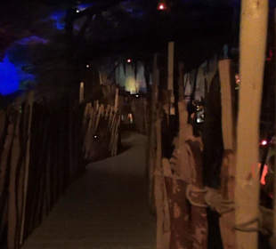 Themenbereich Österreich