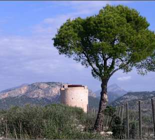 Wachturm auf dem Weg zum Cap Andritxol