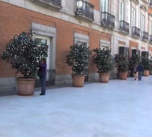 Museo Thyssen-Bornemisza