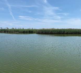 Lagunenfahrt