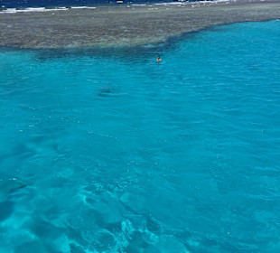 Schnorcheln Hausriff Palm Beach Resort Hurghada	