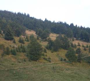 Parcul Natural Apuseni